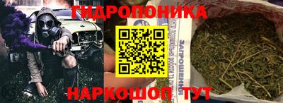 гидра Старая Купавна